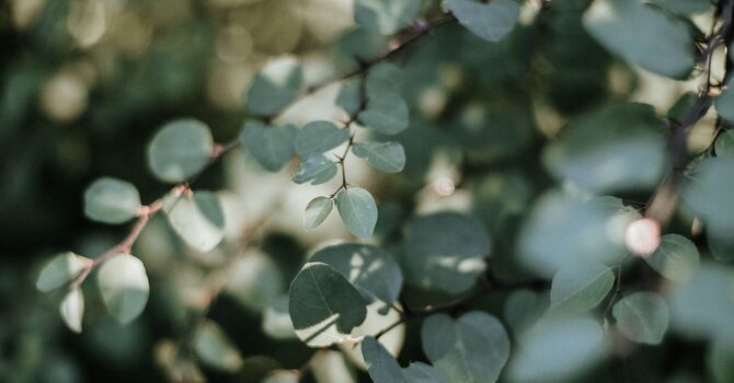 Beyond Hormone Balance: Understanding Your Body’s Signals